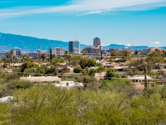 Tucson from Tumamoc hill